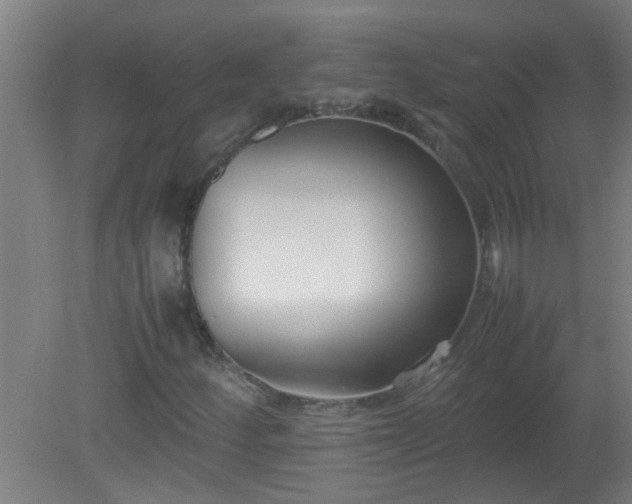 X0000080171252200612151913