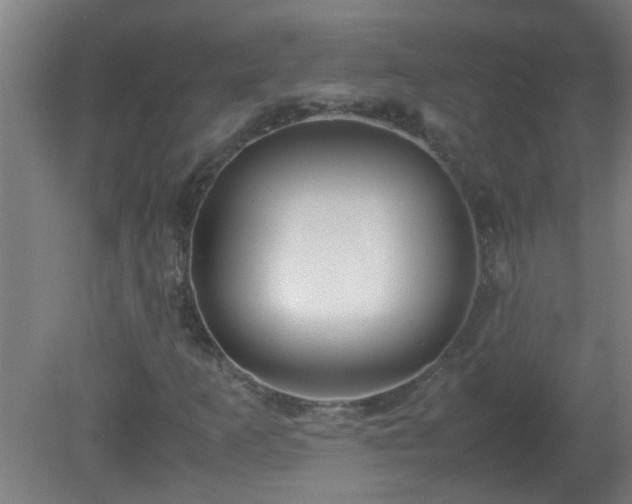 X0000080171253200612151913