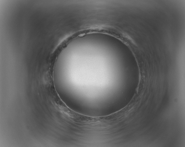 X0000080171256200612151913