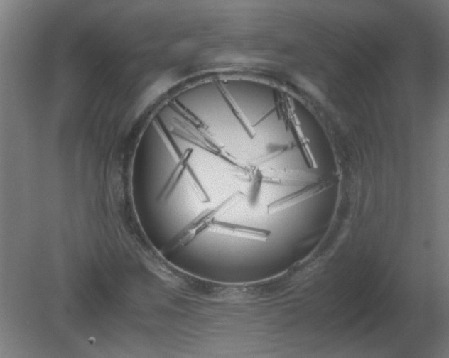 X0000080171259200612151913