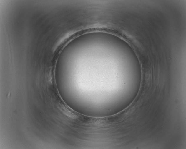 X0000080171262200612151913