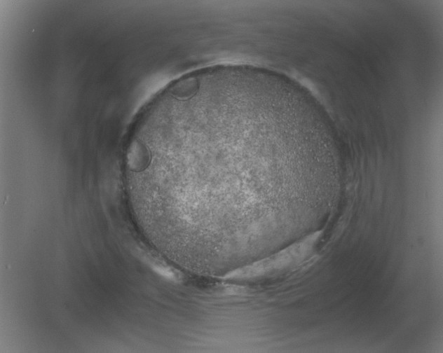 X0000080171263200612151913