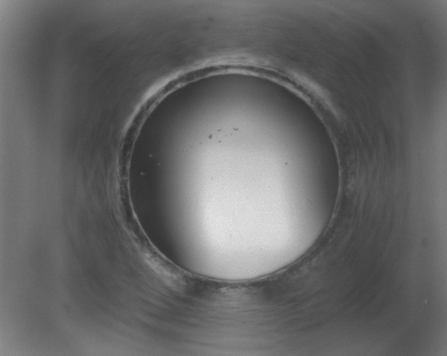 X0000080171264200612151913