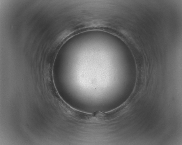 X0000080171265200612151913