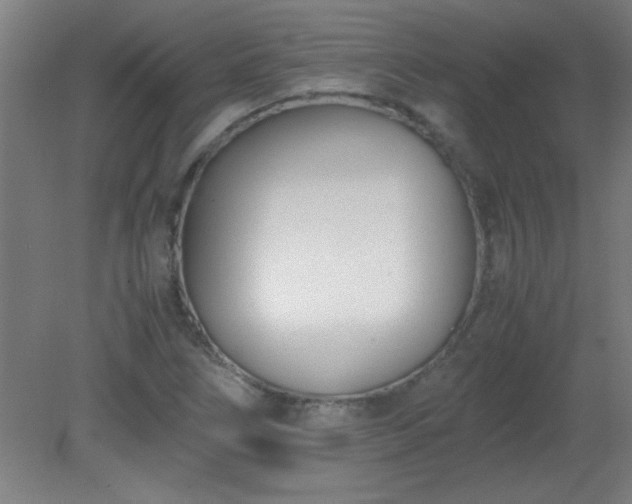 X0000080171266200612151913