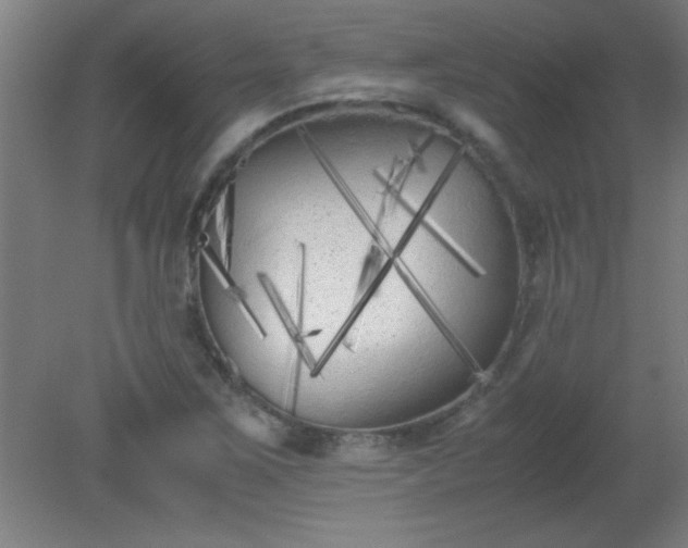 X0000080171267200612151913