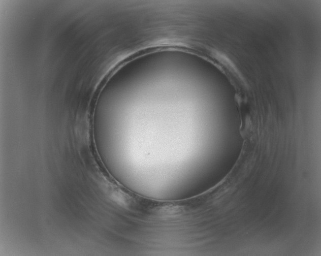 X0000080171268200612151913
