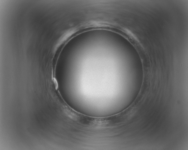 X0000080171269200612151913