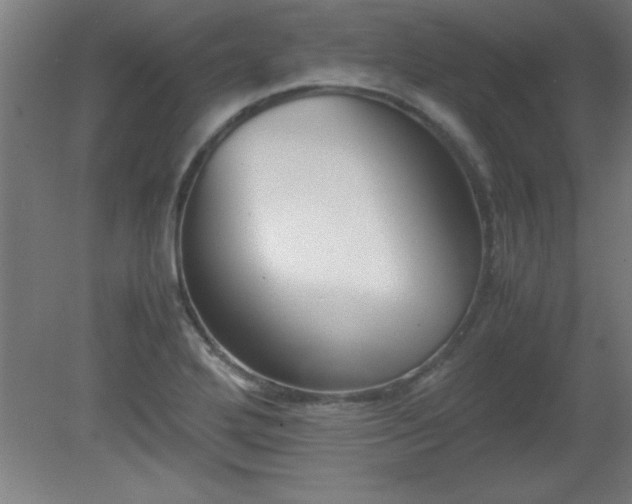 X0000080171272200612151913
