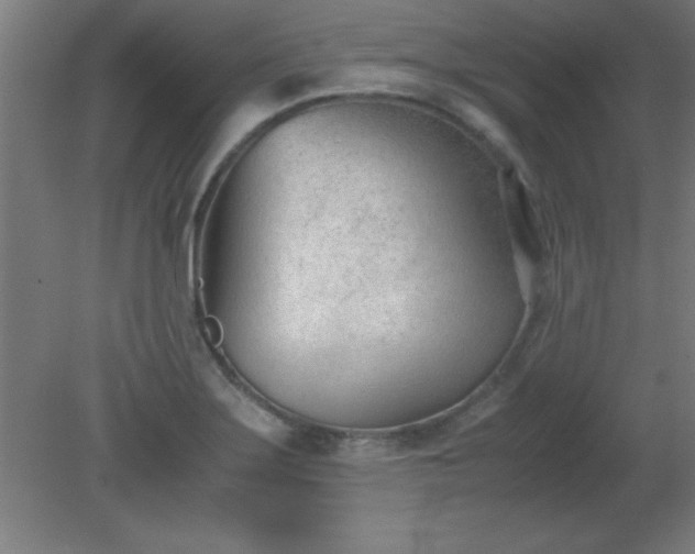 X0000080171275200612151913