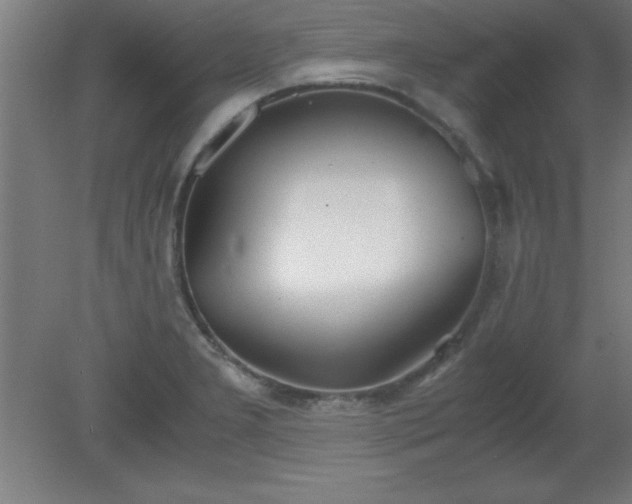 X0000080171277200612151913
