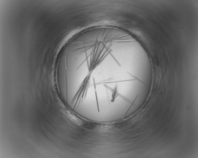 X0000080171278200612151913