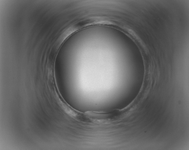 X0000080171281200612151913
