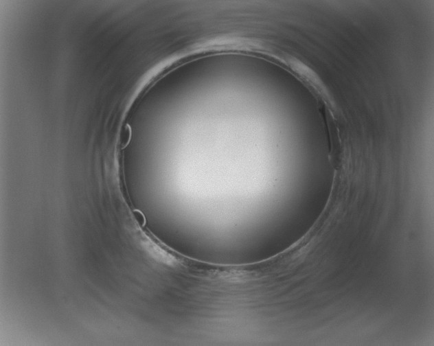 X0000080171288200612151913