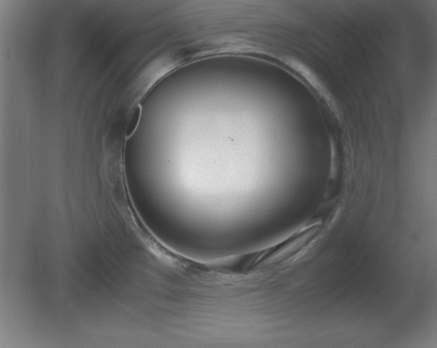 X0000080171289200612151913