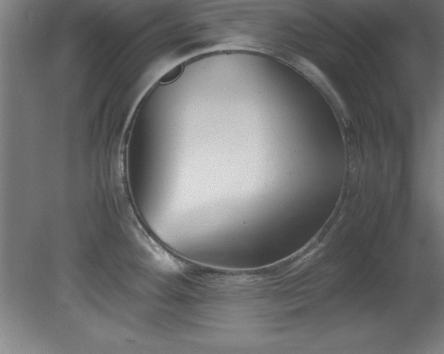 X0000080171292200612151913