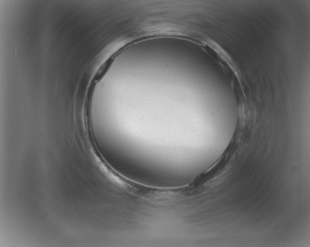 X0000080171293200612151913