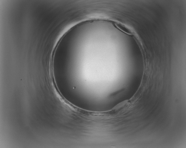 X0000080171295200612151913