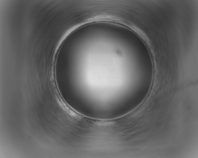 X0000080171296200612151913