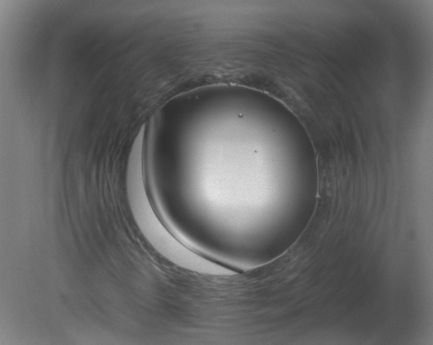 X0000080171298200612151912