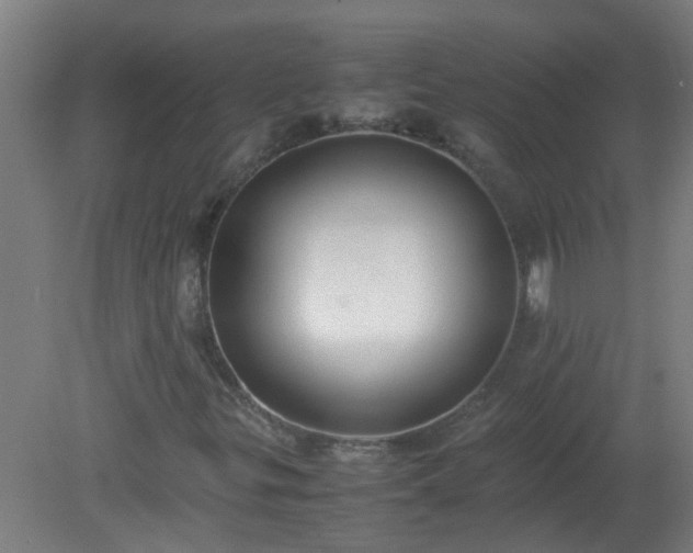 X0000080171299200612151912
