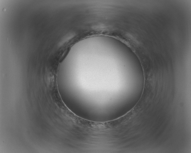 X0000080171302200612151912