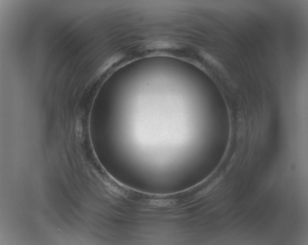 X0000080171305200612151912