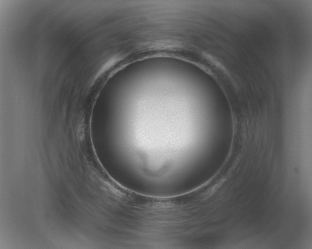 X0000080171306200612151912
