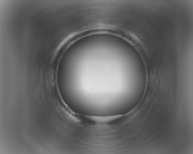 X0000080171310200612151912