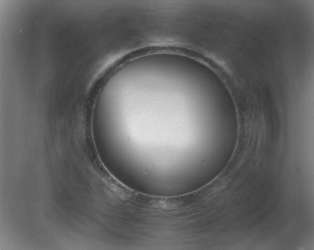X0000080171311200612151912