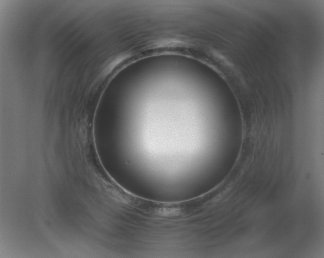 X0000080171313200612151912