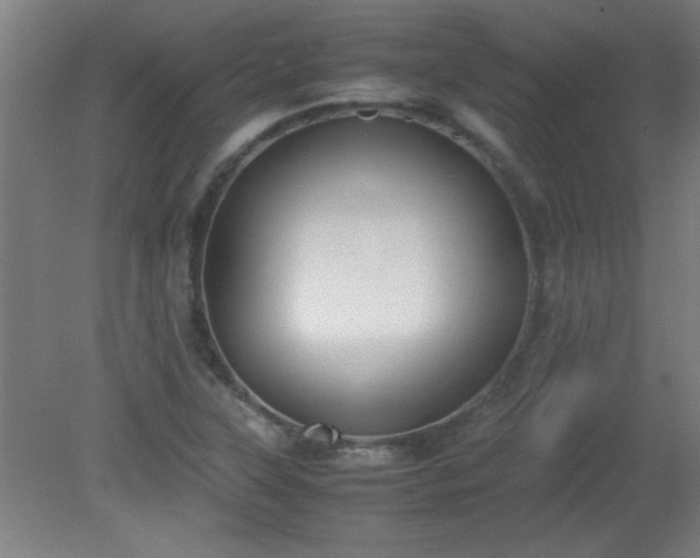 X0000080171315200612151912