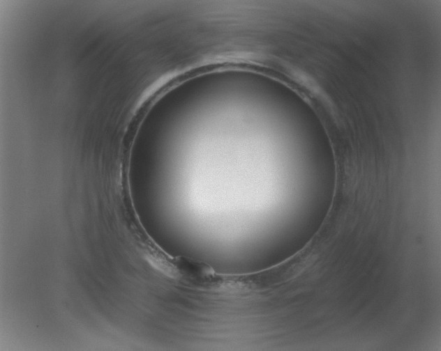 X0000080171316200612151912