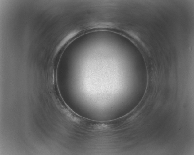 X0000080171317200612151912