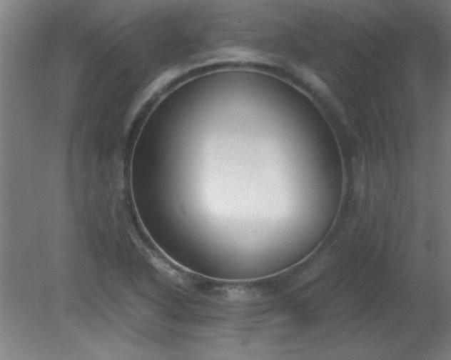 X0000080171318200612151912