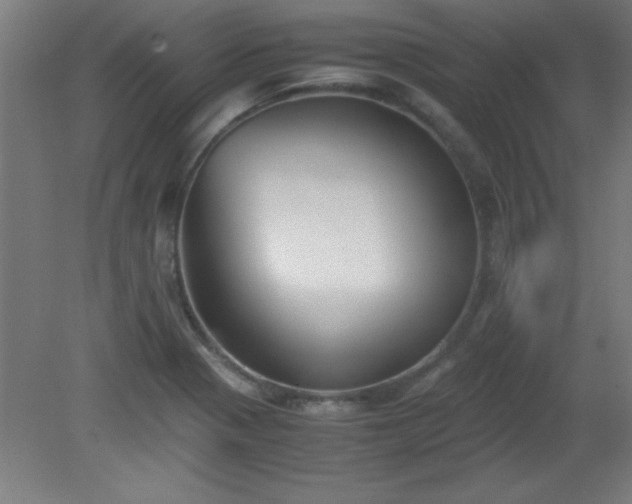 X0000080171321200612151912