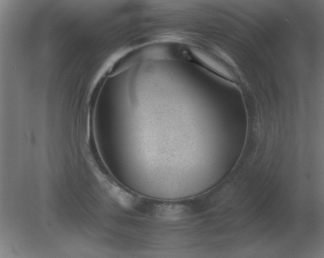 X0000080171323200612151912
