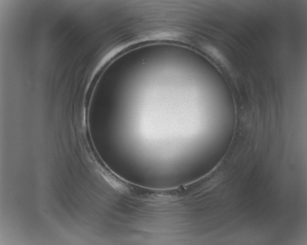 X0000080171324200612151912