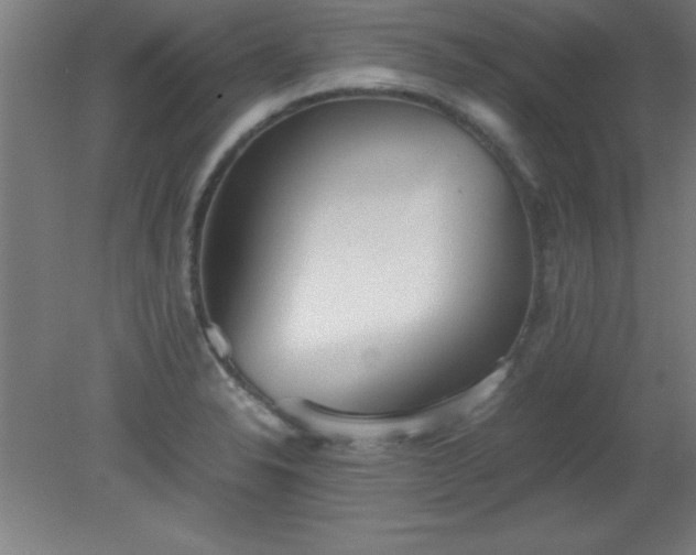 X0000080171326200612151912