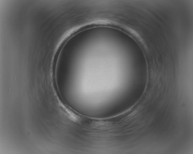 X0000080171327200612151912