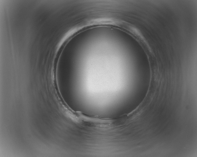 X0000080171328200612151912