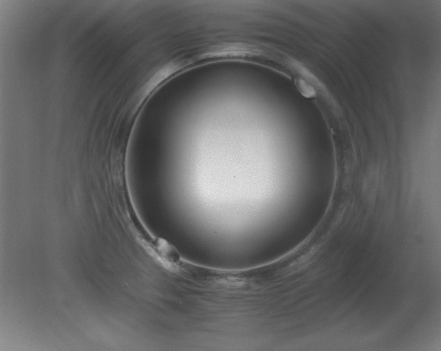 X0000080171329200612151912