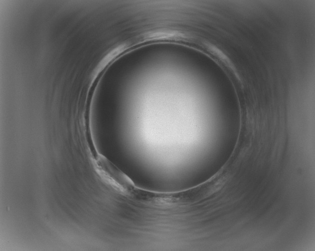 X0000080171330200612151912