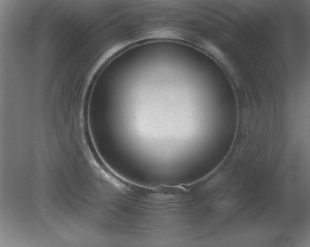 X0000080171331200612151912