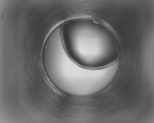 X0000080171332200612151912