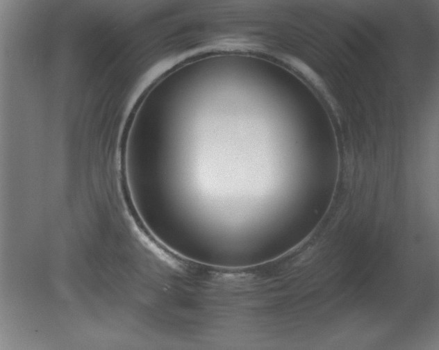 X0000080171335200612151912