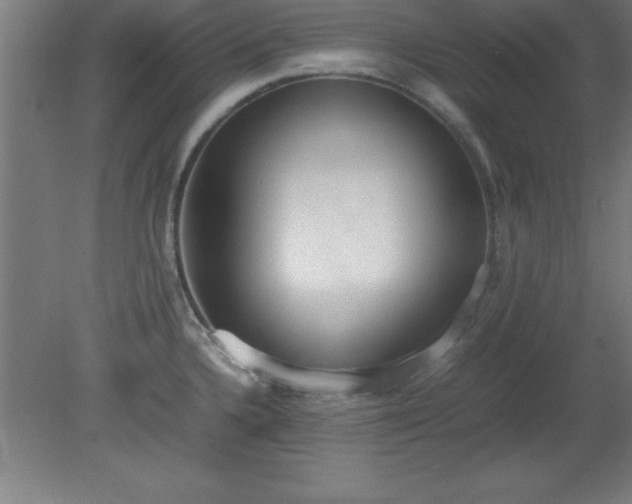 X0000080171336200612151912