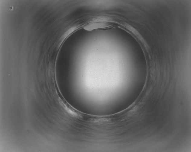 X0000080171337200612151912