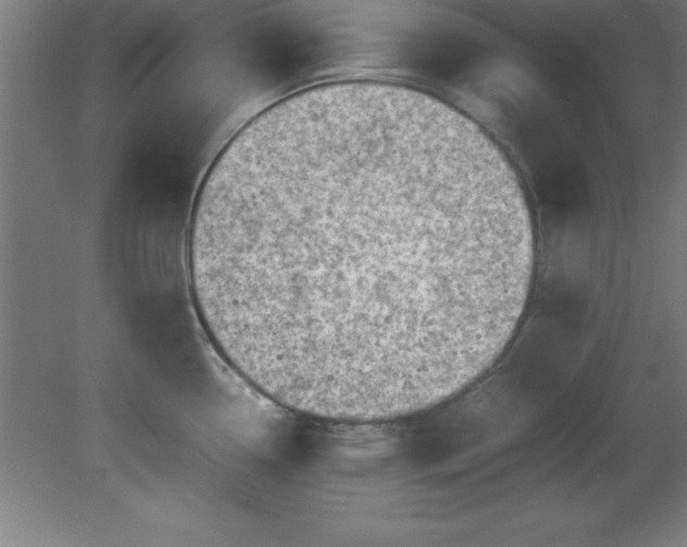 X0000080171338200612151913