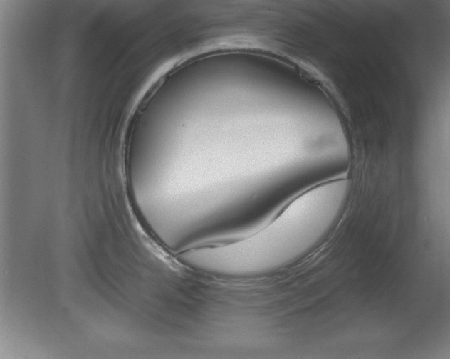 X0000080171342200612151913